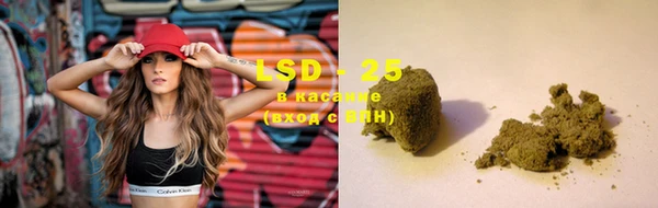 ГАЛЛЮЦИНОГЕННЫЕ ГРИБЫ Баксан
