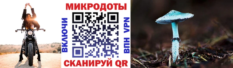 Галлюциногенные грибы прущие грибы  Качканар 
