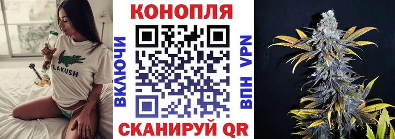 kraken онион  магазин    Качканар  Конопля план 